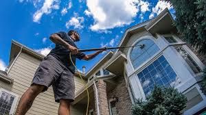 Residential Window Cleaning Service